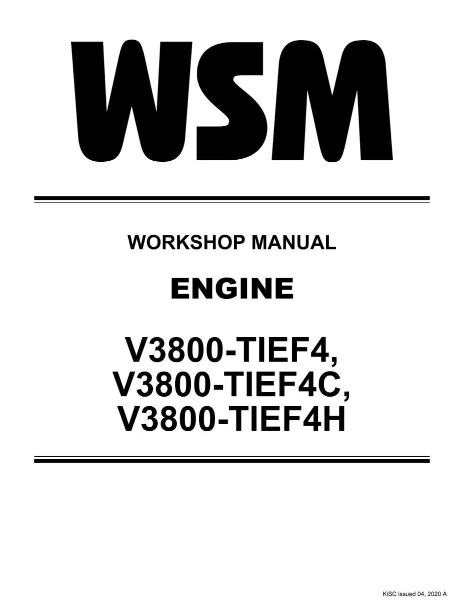 Kubota Engine V3800-Tief4, V3800-Tief4c, V3800-Tief4h Workshop Manual | Instant PDF Download